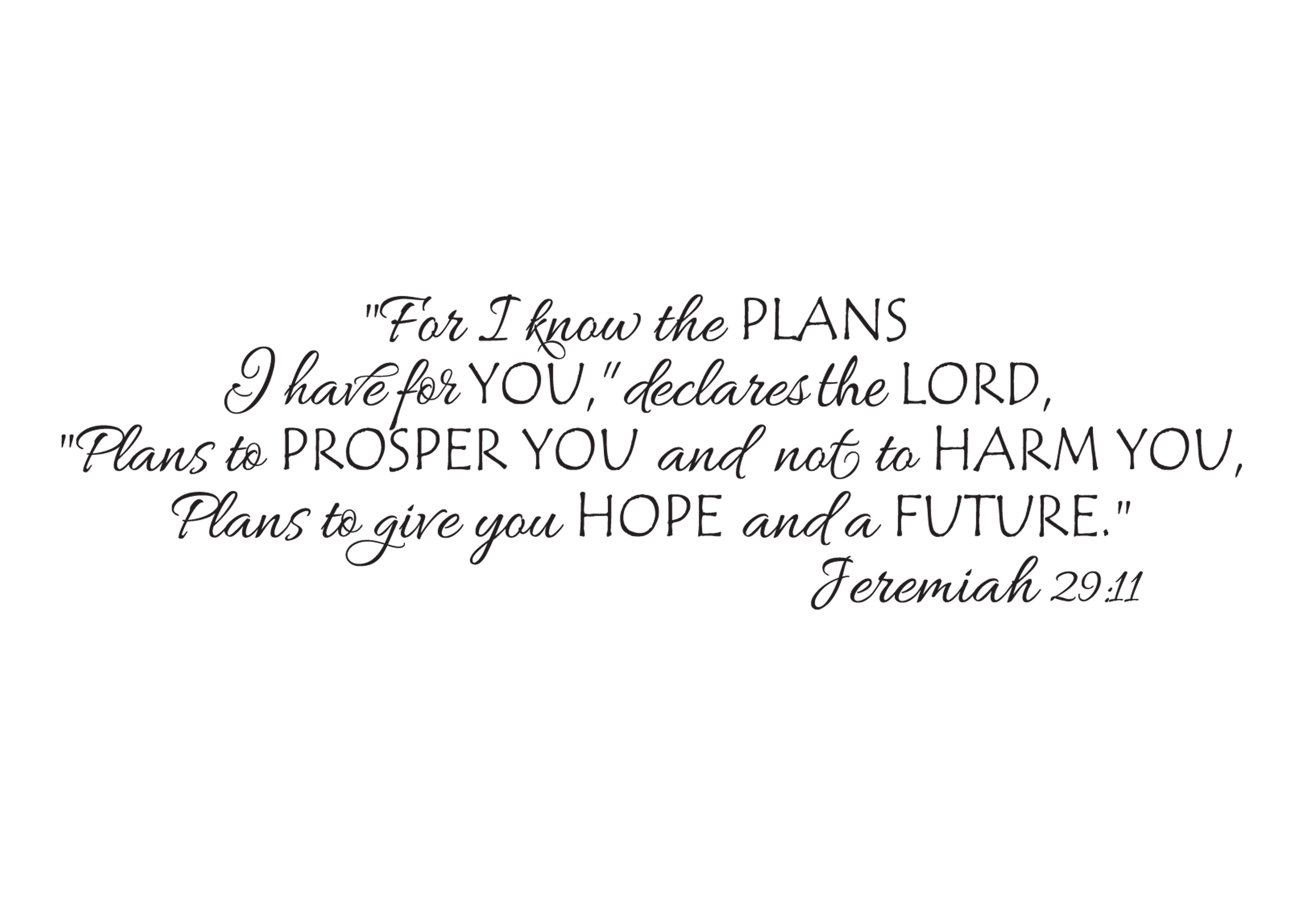 Jeremiah 29 11 Allura Tempas full verse