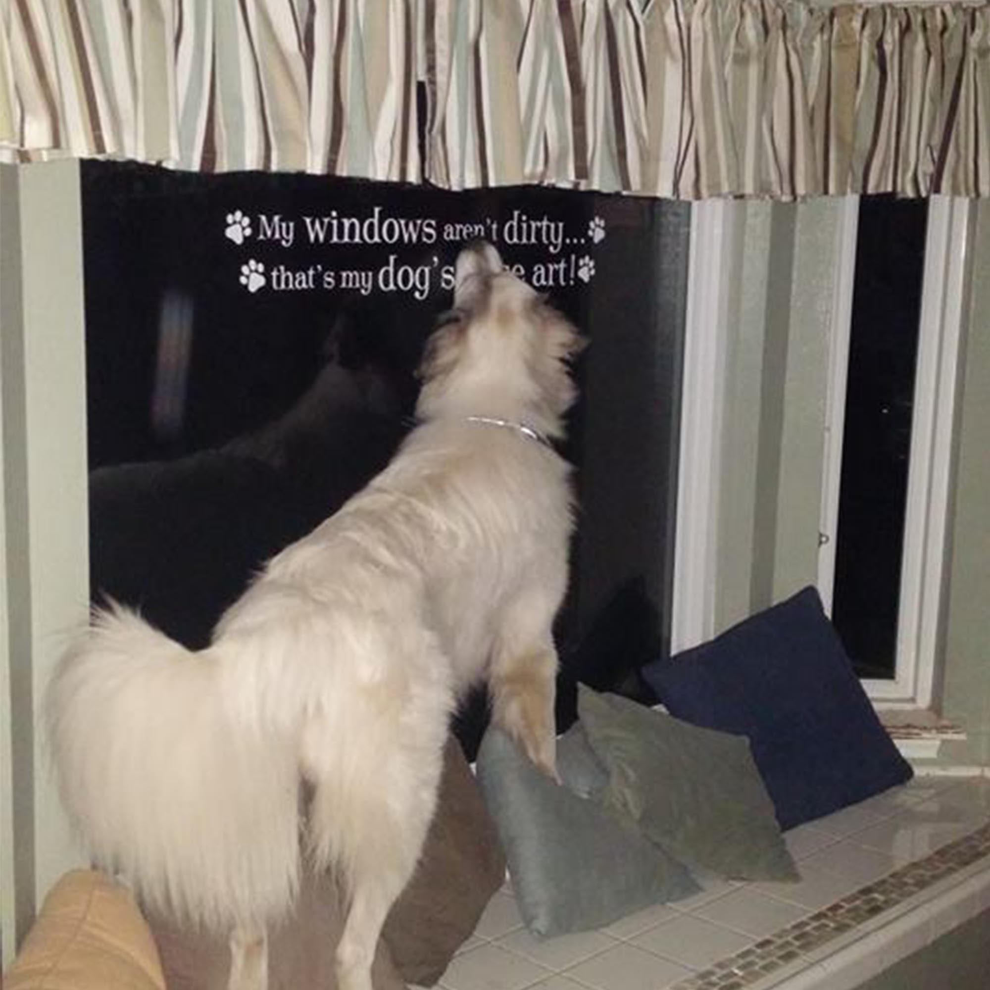 My windows aren't dirty, that's my dog's nose art!, Wall Decal, Bay Window Decal, Dog Decal, Paw Prints, Window Decal, Vinyl Decal, HH2124 - Image 3