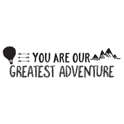 You are our greatest adventure Vinyl Wall Decal Nursery Quote Removable sticker Arrows Modern Nursery decor Modern Explorer nursery CT4573 - Image 4