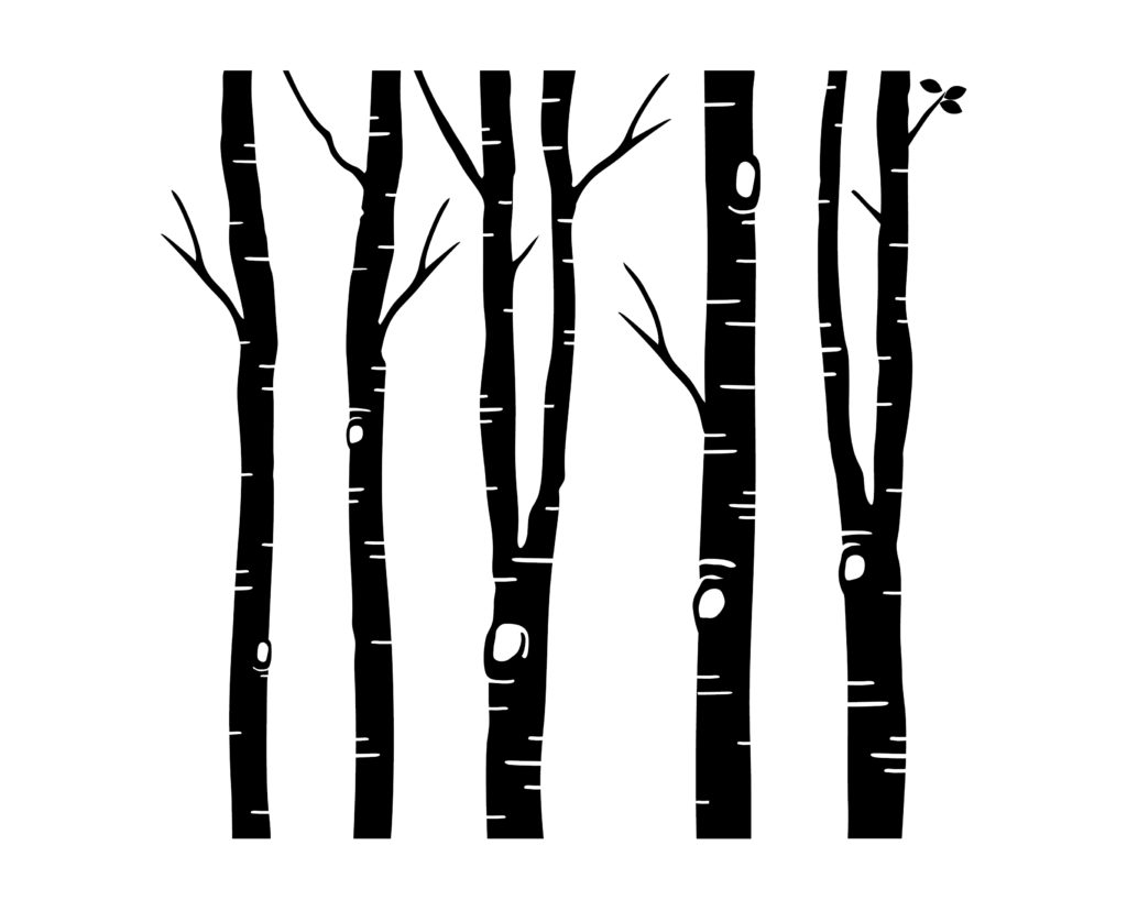 Birch Trees and Leaves Vinyl Wall Decal by Wild Eyes Signs