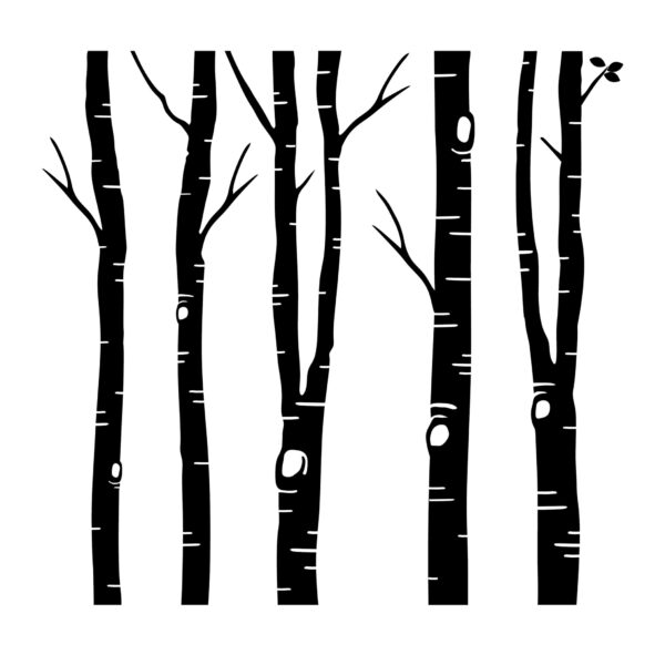 Birch Trees and Leaves Vinyl Wall Decal