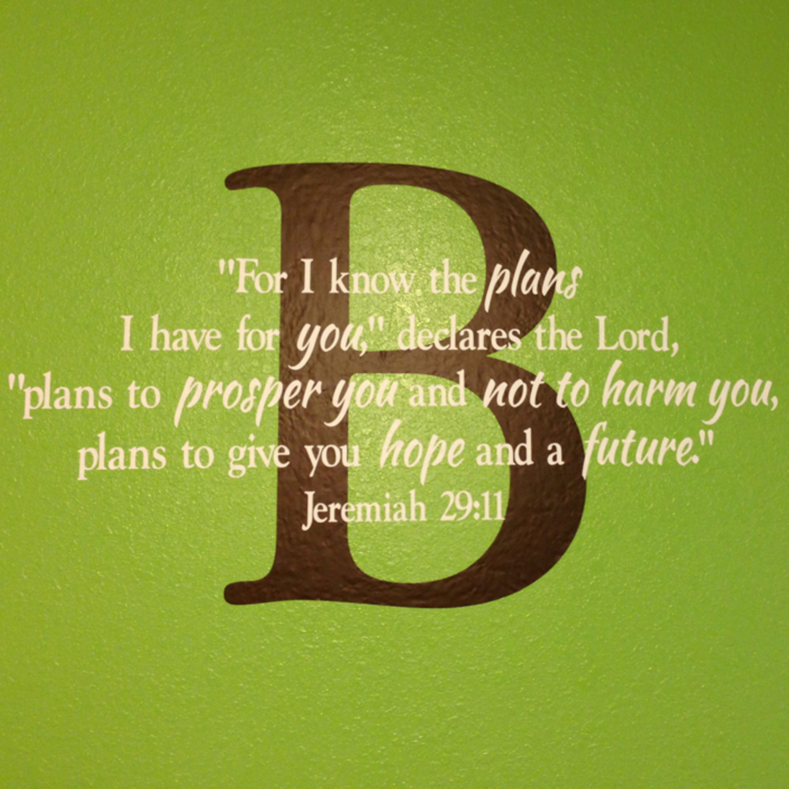 Jeremiah 29:11 Vinyl Wall Decal 18 by Wild Eyes Signs, For I know the plans, Personalized Nursery Decal, Teen Wall Decor, Monogram Christian Scripture Art, JER29V11-0018 - Image 2