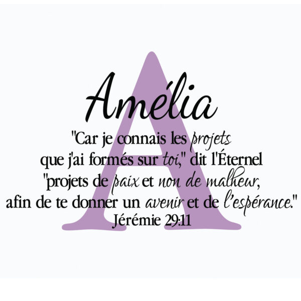 Jérémie 29v11 Vinyl Wall Decal 19