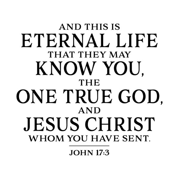 John 17v3 Vinyl Wall Decal